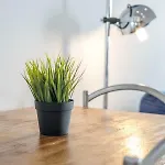 Semesterbostad Casa Da Tita *